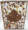 2021/10/13/Vintage_Leaves_by_floridaperson.JPG