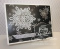 2015/08/27/stampin_up_flurry_of_wishes_1_-_Copy_by_Carol_Payne.JPG