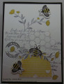 Honey_Bee_