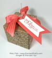 2016/01/26/Stampin-Up-Gift-Box-Punch-Board-Tag-Idea-By-Mary-Fish_by_Petal_Pusher.jpg
