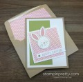 2016/03/25/Stampin-Up-Easter-Bunny-Card-Idea-Envelope-Liner-Mary-Fish-StampinUp-500x497_by_Petal_Pusher.jpg