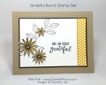 2016/02/05/Stampin-Up-Grateful-Bunch-Blossom-Bunch-Punch-Thank-You-Card-by-Mary-Fish-Pinterest_by_Petal_Pusher.jpg