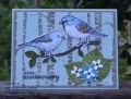 2016/07/22/Best_of_Birds_Vintage_Leaves_MyTanglewoodCottage_by_Stampin_Scrapper.jpg