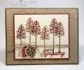 2016/09/02/Stampin_Up_Thoughtful_Branches_Sympathy_by_Cardiology_by_Jari005_by_Jari.jpg