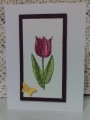 2016/08/01/Tulip_Water_Color_by_Precious_Kitty.JPG