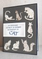 cats_by_te