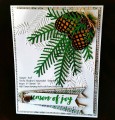 2016/11/22/PineBoughs_by_Stampin_Hoot_.jpg