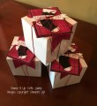 2016/12/23/White_Gift_Box_-_Stamp_It_Up_With_Jaimie_-_Stampin_Up_by_StampinJaimie5.jpg
