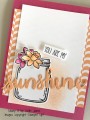 2017/03/13/Basket_Bunch_-_Stamp_It_Up_With_Jaimie_-Stampin_Up_by_StampinJaimie5.jpg