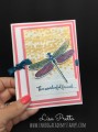 2016/12/06/dragonflydapperdenim_by_InkBig-Academy.jpg