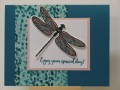 2017/06/23/maria116_Pink_Dragonfly_by_maria116.jpg