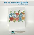 2017/05/01/Oh-So-Succulent-Bundle-2_by_Stampin_Hoot_.jpg