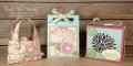 2017/03/21/Special_Reason_Gift_Packaging_Trio_by_StampinChristy.JPG