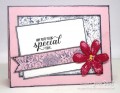 Special_Je