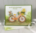 Bike-ride-