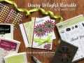 2017/07/06/Daisy-Delight-Bundle-All-Products_by_Stampin_Hoot_.jpg