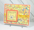 2026/02/10/20260210_MMTPT916_LizBeth1976_camo_garden_by_LizBeth1976.jpg