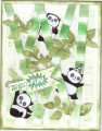 2018/03/26/Panda_Fun_by_donnajeanne.JPG