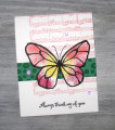 2019/03/27/Butterfly_TOY_JAI420_CTS283_by_Christy_S_.JPG