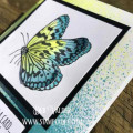 2018/04/10/Fun_Stampers_Journey-Pop-Up-out-Butterfly-Splashes-Silks-Sparkle-Catalog-Launch-Small-Things-Deb-Valder-5_by_djlab.JPG