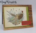 2018/08/16/Stampin_Up_Pleasant_Pheasant_-_Stamp_With_Amy_K_by_amyk3868.jpg