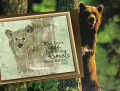 Bear_Card-