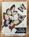Butterfly-