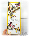 2020/08/31/Butterfly_Gala_3_by_designzbygloria.jpg