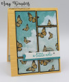 2021/03/07/Stampin_Up_Butterfly_Gala_-_Stamp_With_Amy_K_by_amyk3868.jpeg