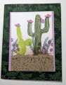 2022/05/01/FS795_Blooming_Cactus_by_bensarmom.jpg