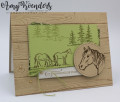 2019/01/16/Stampin_Up_Let_It_Ride_-_Stamp_With_Amy_K_by_amyk3868.jpg