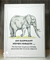 elephant_b