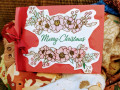 2020/05/25/CAS587_floral_Merry_Christmas_by_Crafty_Julia.jpg