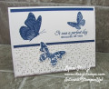 2019/06/19/Butterfly_Wishes_Stitched_Lace_by_starzlmom28.jpg