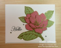 2021/06/10/Magnolia_-_pink_layered_petals_by_katie-j.jpg