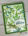 2020/08/24/Watercolor_Fern_Wow_by_stampin_chiquie.JPG