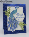 2020/04/09/Stampin_Up_Royal_Peacock_-_Stamp_With_Amy_K_by_amyk3868.jpg