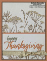 2021/11/22/a_wish_for_everything_queen_annes_lace_thanksgiving_watermark_by_Michelerey.jpg