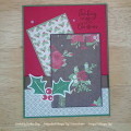 2023/11/26/Chocolate_Holly_Berry_Watermarked_by_DStamps.jpg