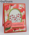 2020/01/08/Stampin_Up_Painted_Poppies_-_Stamp_With_Amy_K_by_amyk3868.jpg