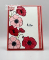 2020/01/09/Stampin_Up_Painted_Poppies_Hello1_creativestampingdesigns_com_by_ksenzak1.jpg