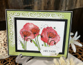 Poppies_aw