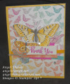 2021/03/24/Butterfly_Thank_You_front_by_MonkeyDo.jpg