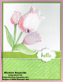 2020/03/02/timeless_tulips_pink_tulip_hello_watermark_by_Michelerey.jpg
