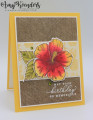 2020/01/28/Stampin_Up_Timeless_Tropical_-_Stamp_With_Amy_K_by_amyk3868.jpg