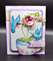 2020/03/27/3_27_20_MAR20VSNC_Birthday_Orchid_by_Shoe_Girl.JPG