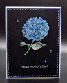 2020/03/28/3_28_20_MAR20VSNQ_Mothers_Day_by_Shoe_Girl.JPG