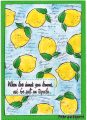 lemons_by_