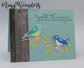 2020/05/20/Stampin_Up_Birds_Branches_-_Stamp_With_Amy_K_by_amyk3868.jpeg