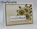 2020/06/28/Stampin_Up_Celebrate_Sunflowers_-_Stamp_With_Amy_K_by_amyk3868.jpeg